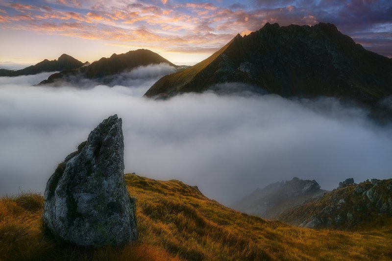 Overwhelming whitephoto preview