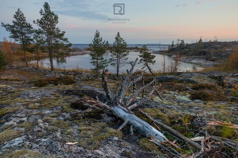 карелия россия вечер закат сосны деревья оеро ладога шхеры залив бута вода море мох скала камни Вечер трудного дня – A hard day’s nightphoto preview