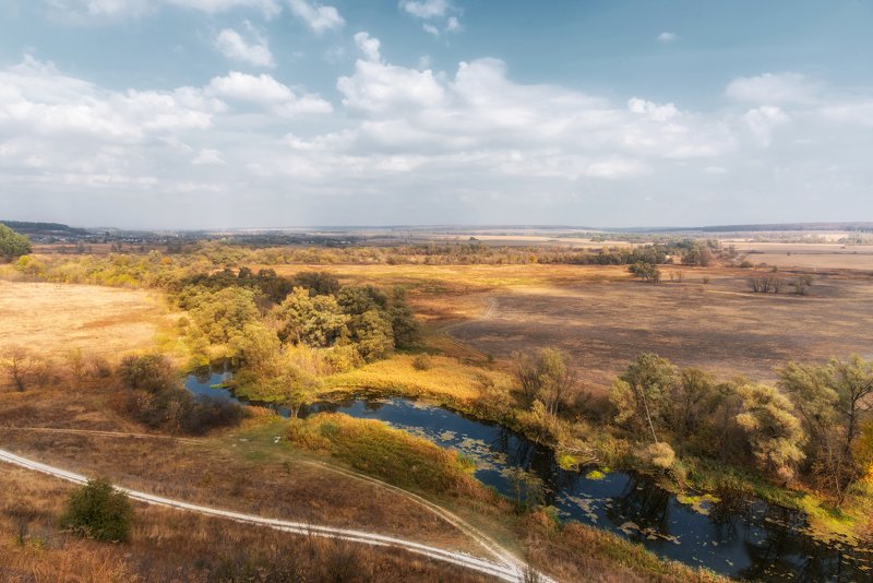 река корень, осень ***photo preview