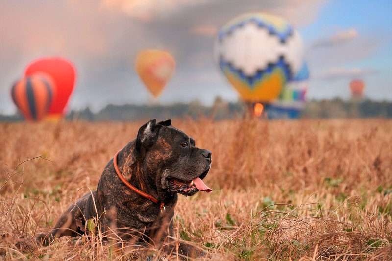 Русская Кападокияphoto preview