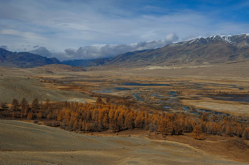 1-Ортолык. 2-Курай.photo preview