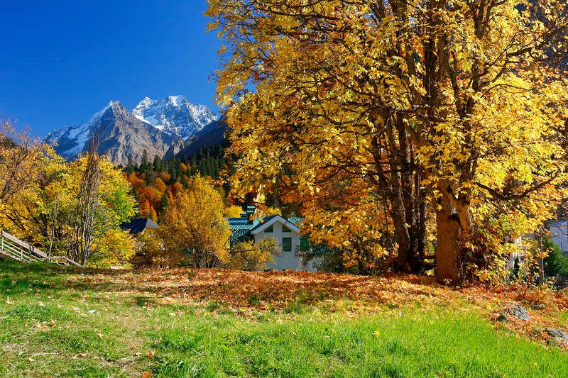 домбай, осень, горы, кчр, Домбайphoto preview