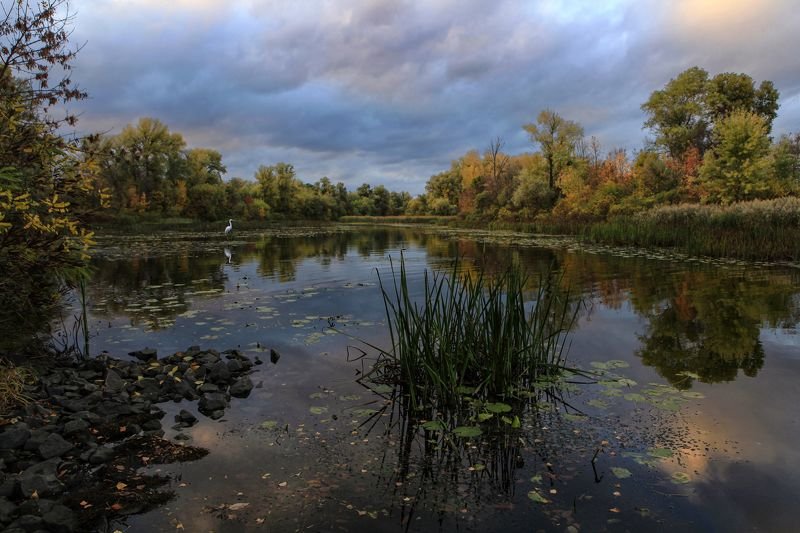 Царство осениphoto preview