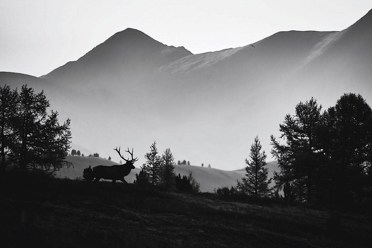 рассвет. Автор: Мазурин Евгений , Мазурин Евгений