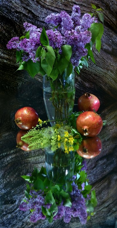 Отражениеphoto preview