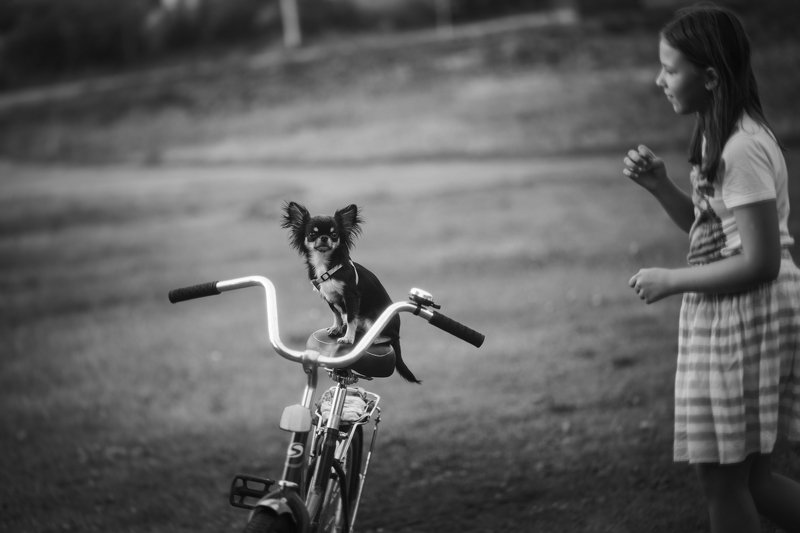 лето дети собака монохром жанр Поехали!photo preview