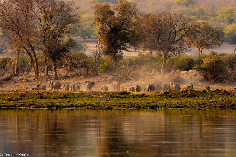 Elephantsphoto preview