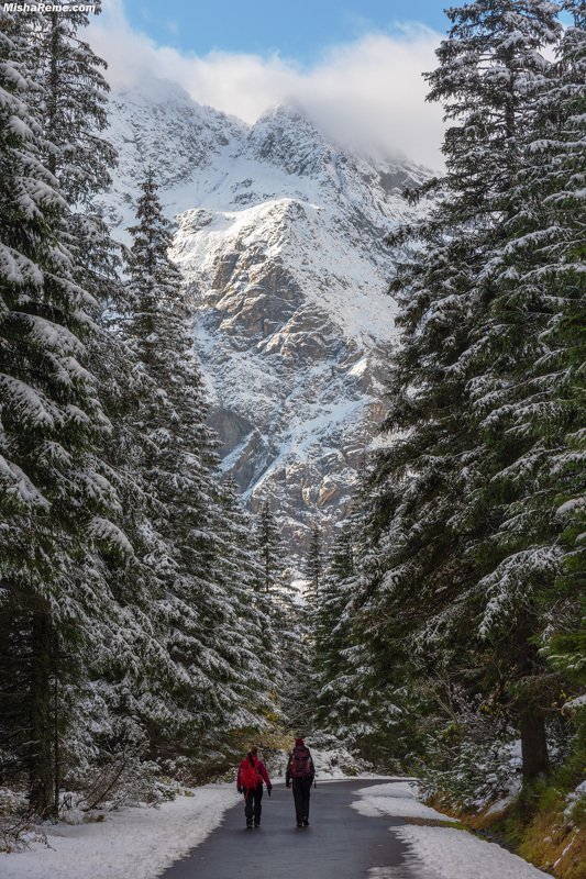 Happiness roadphoto preview