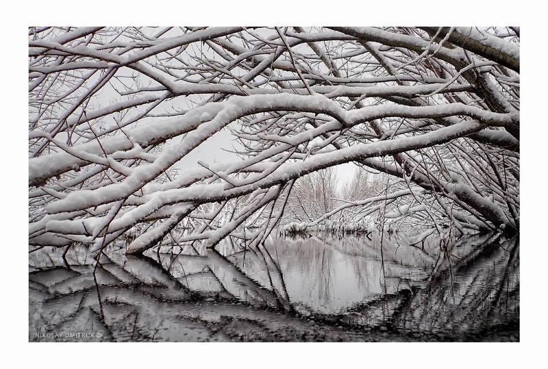 пейзаж погружение. первый снег. 19. 10.2020photo preview