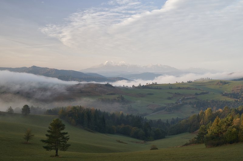 mist,mountains,sunrise,tree,pieniny,tatry Pieninyphoto preview