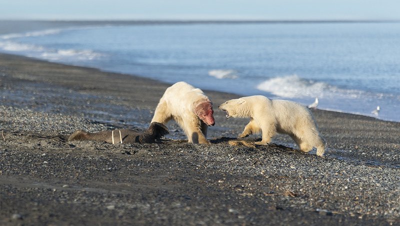 Преступление и наказание....photo preview