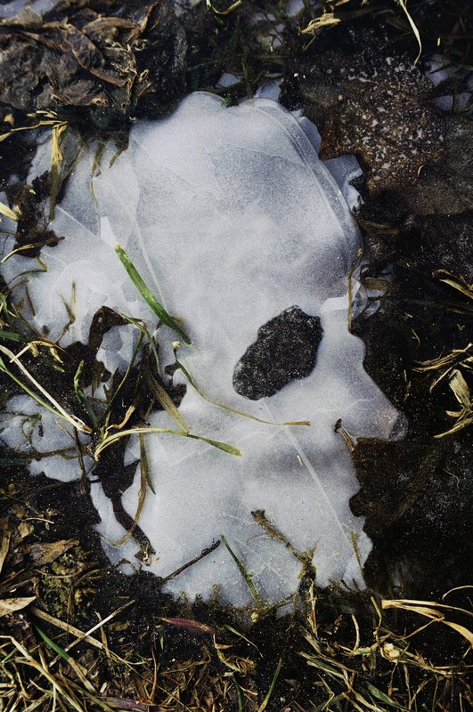 pareidolia ***photo preview