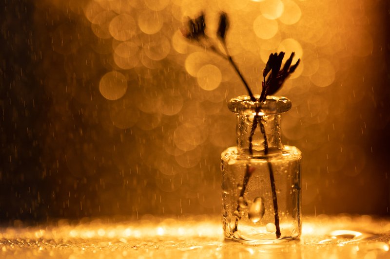 The Rainy Sunphoto preview