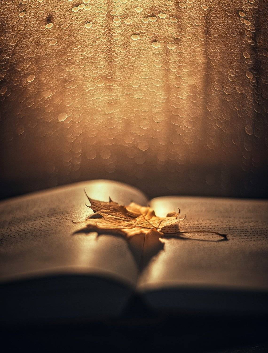 , Владимир Жуков