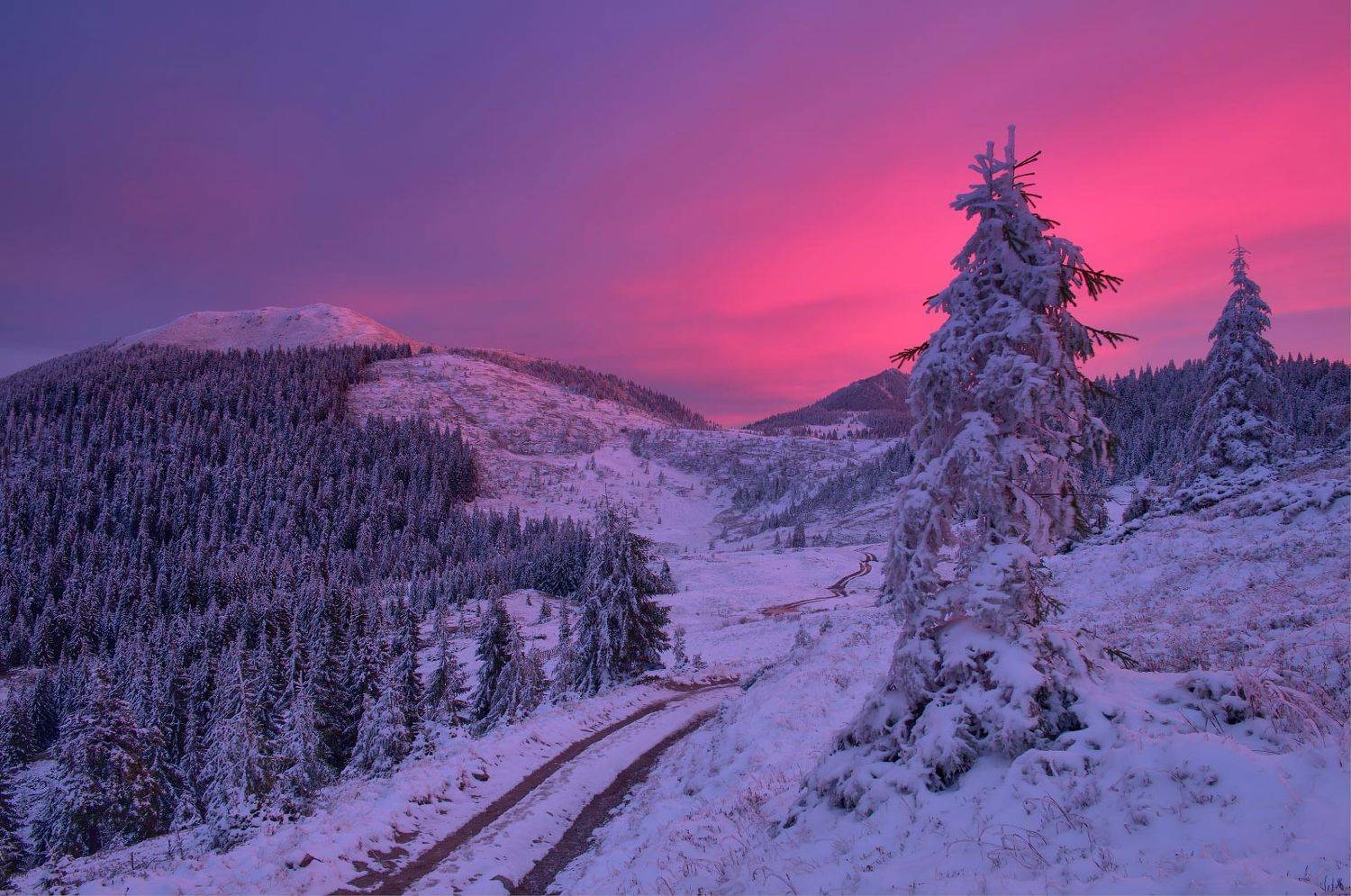 Карпати. Автор: Леонид Морозов #nature, #туман, #лес, #oсень, #украина, #карпаты, #пейзаж, #закат, #туман, #солнце, #свет, #mountain range, #mountains, #туризм, #лес, #nature, #природа,, Леонид Морозов