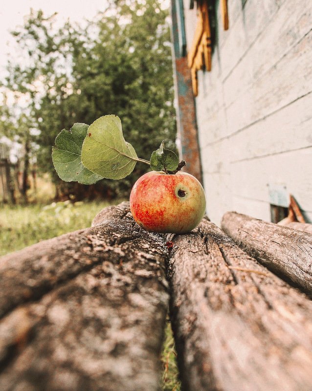 фотографалинция приятного аппетита фото превью