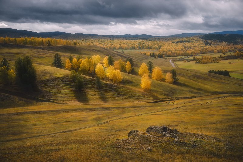 осень, березы, башкирия, башкортостан Осень в Башкирииphoto preview
