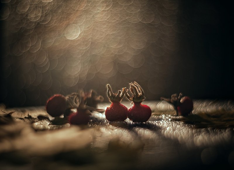 Осенняя романтикаphoto preview