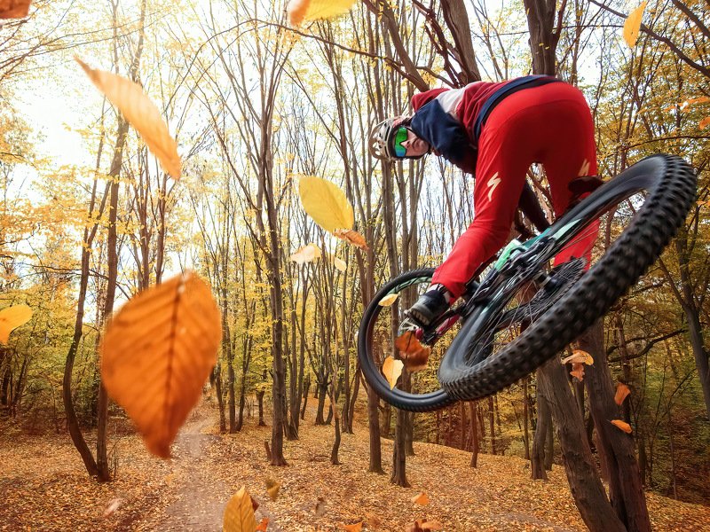 mtb, enduro, autumn, rider, jump, trick, cycle, велосипед, эндуро, осень, райдер, МТБ, трюк, экстремальный спорт Enduro Series: Autumn Riderphoto preview