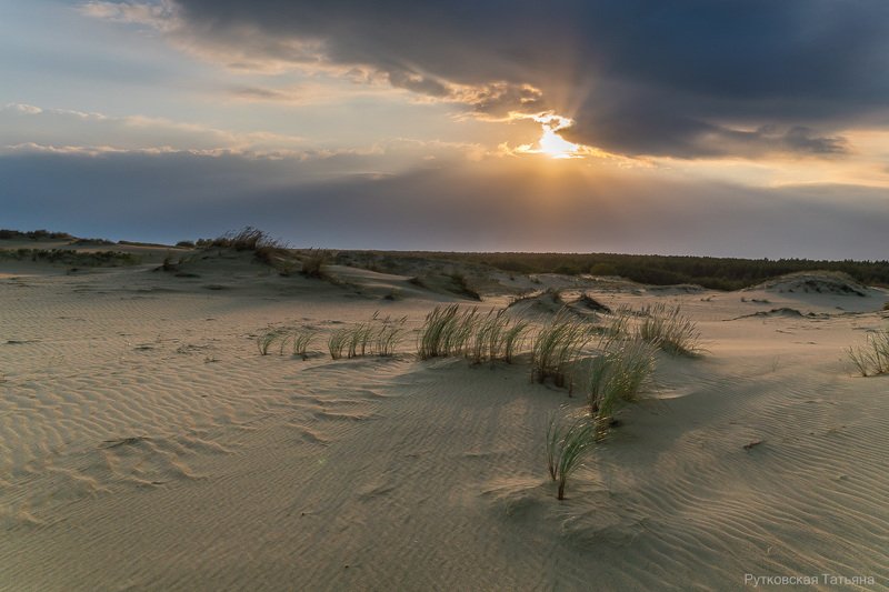 Закат над дюнамиphoto preview