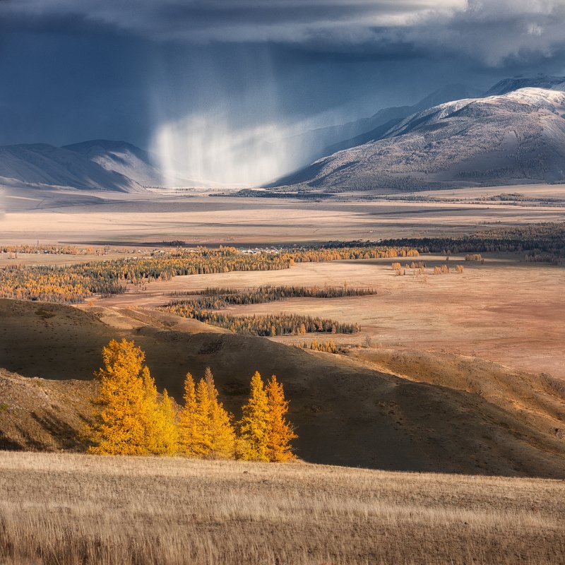 осень, курай, алтай Контрасты курайской степиphoto preview
