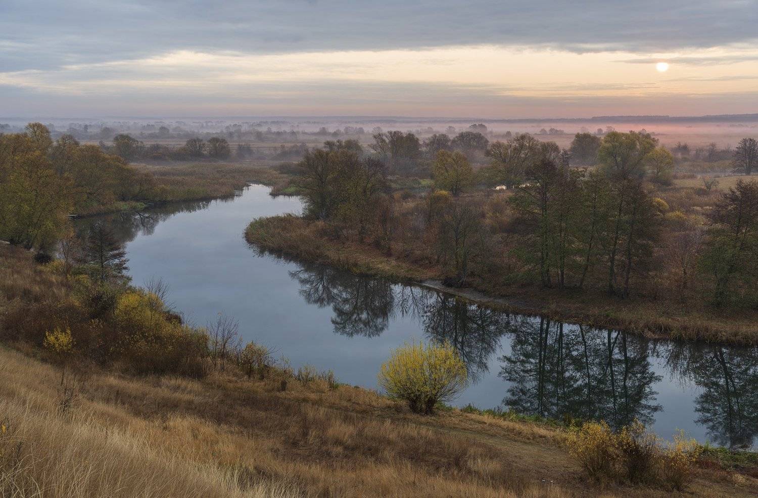 Автор: Дмитрий Новоселов , Дмитрий Новоселов