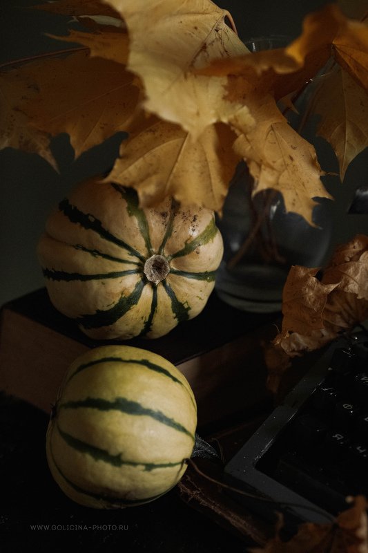 тыквы полосатики натюрморт голицына *** фото превью