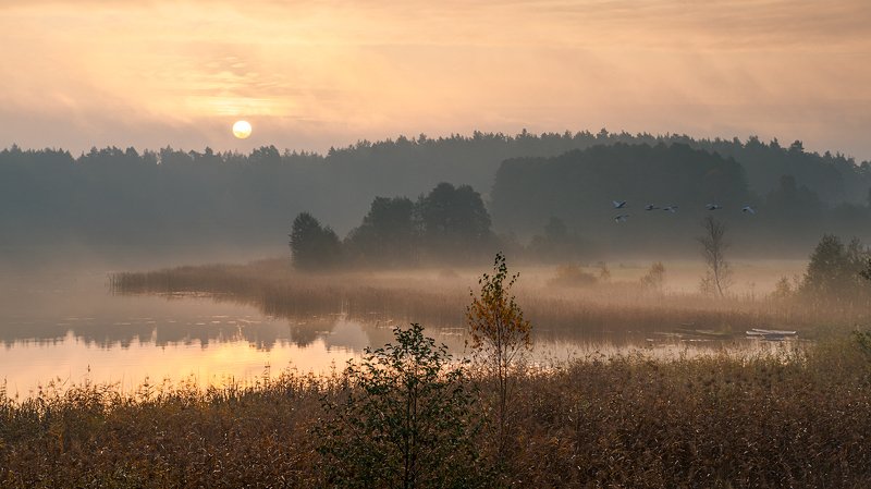 Poranny lotphoto preview