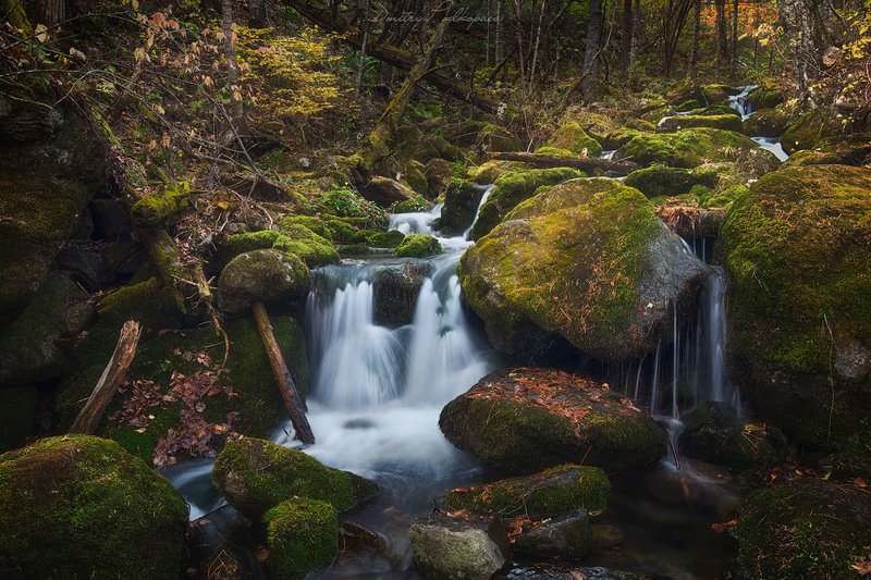 россия,приморский край,лазовский район,беневское,свет,краски,скалы,осень,листва,валуны,дмитрий подкопаев По дороге на водопад 2photo preview