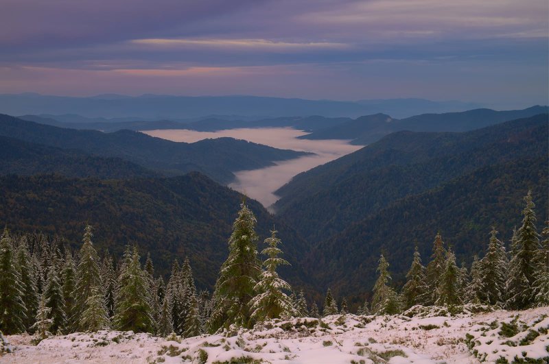 #nature, #туман, #лес, #oсень, #украина, #карпаты, #пейзаж, #закат, #туман, #солнце, #свет, #mountain range, #mountains, #туризм, #лес, #nature, #природа, ***photo preview