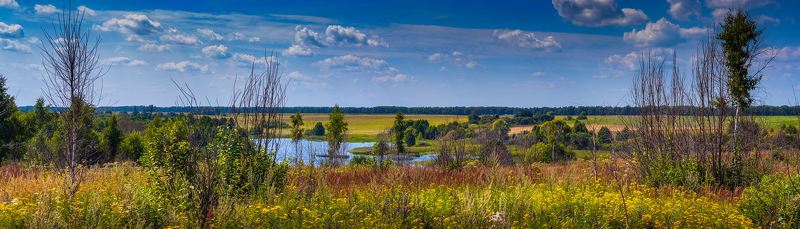 Высокий берег р. Судынкаphoto preview