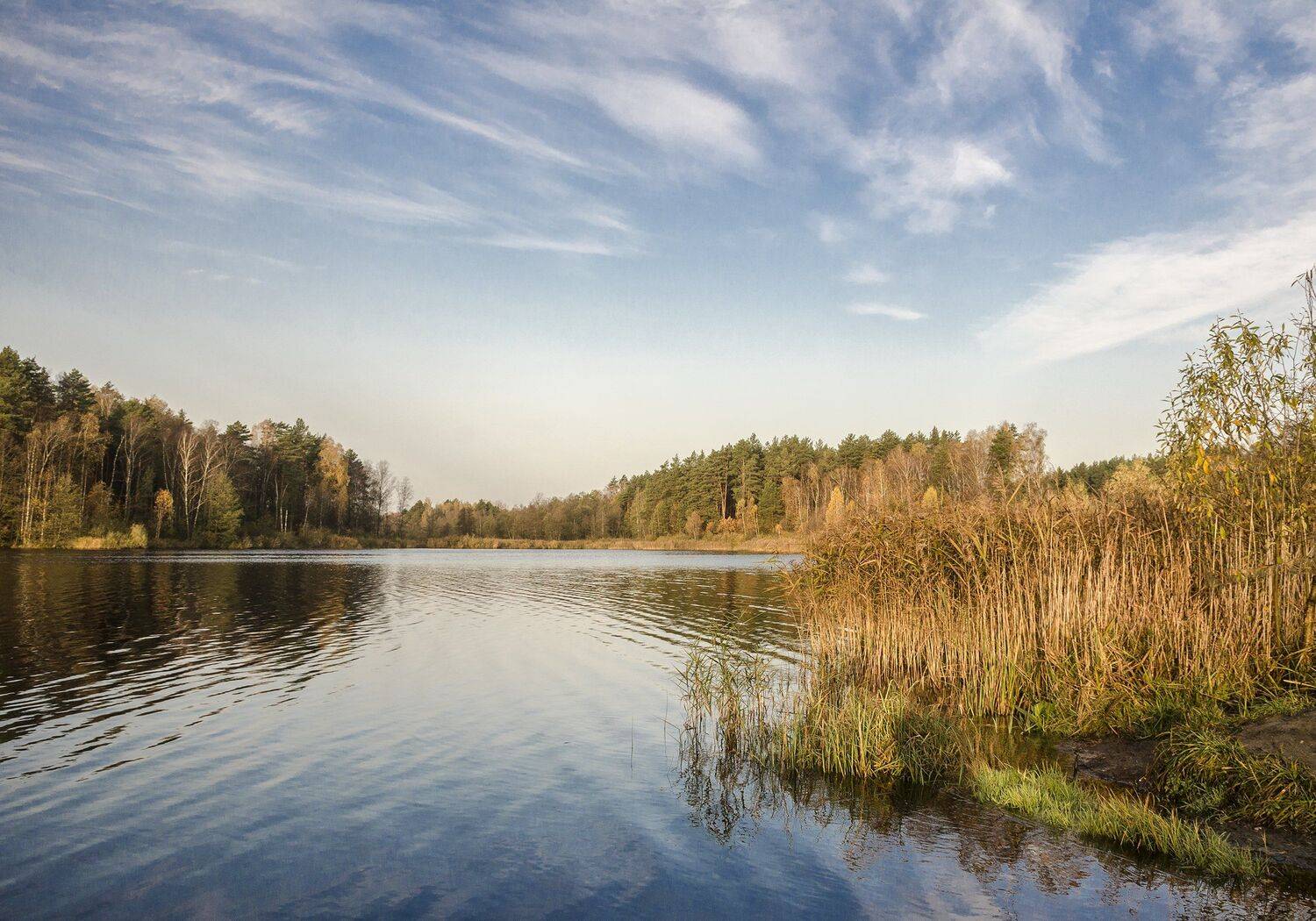 nevant60, пейзаж, красота, природа, Александр Березуцкий