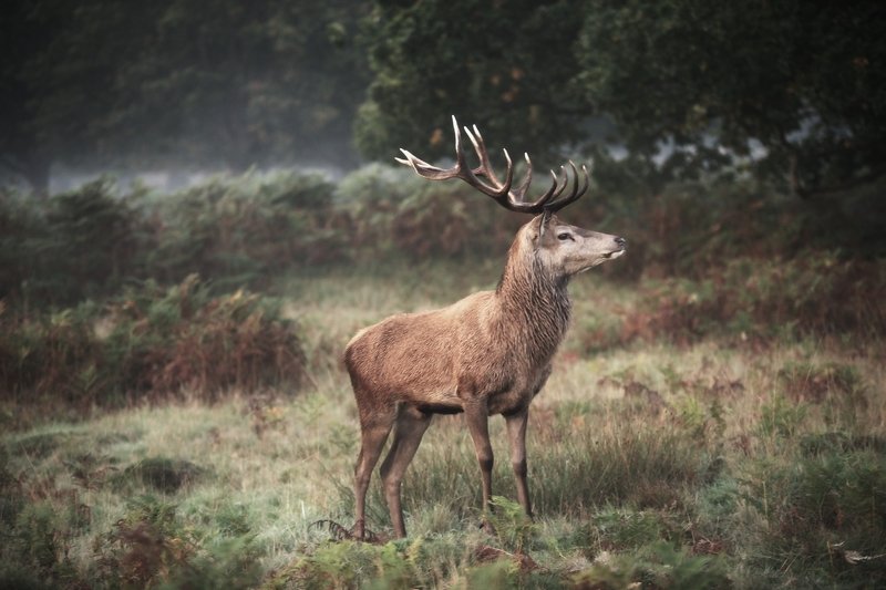 H E R Nphoto preview