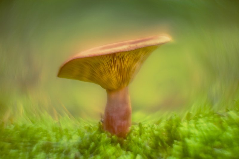 From other sidephoto preview