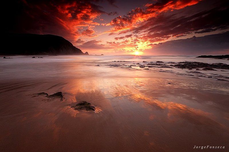 Serene Projectionsphoto preview