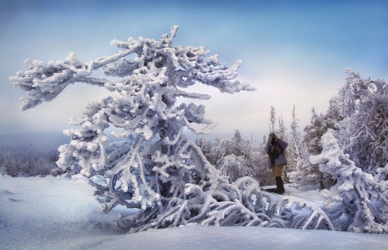 Метаморфозы ноябряphoto preview