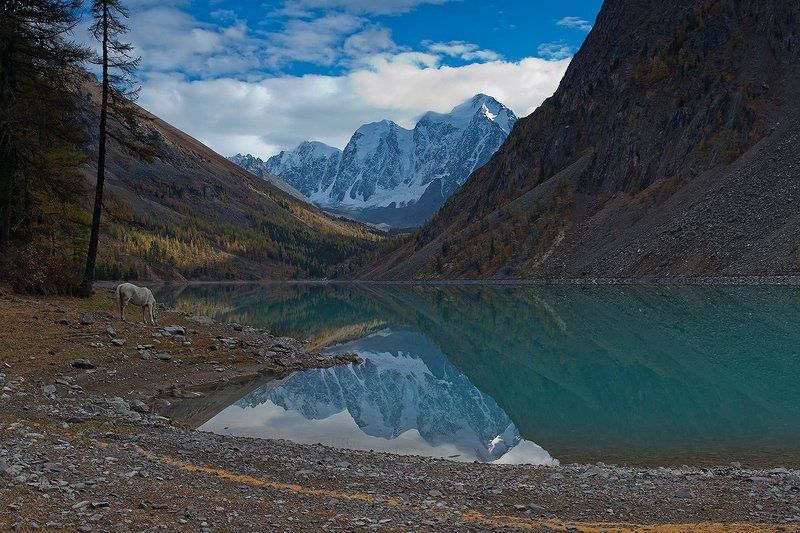 горы, алтай, озеро, шавлинское, река, шавла, северо-чуйский, хребет только мы с конемphoto preview