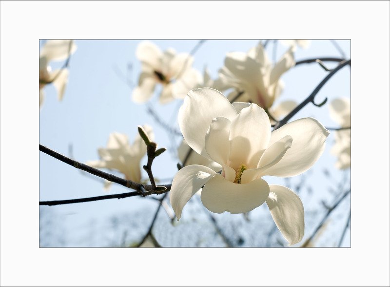 Ангелочек:))photo preview