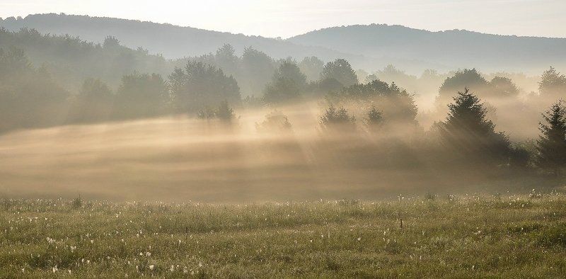 Утро начинается... фото превью