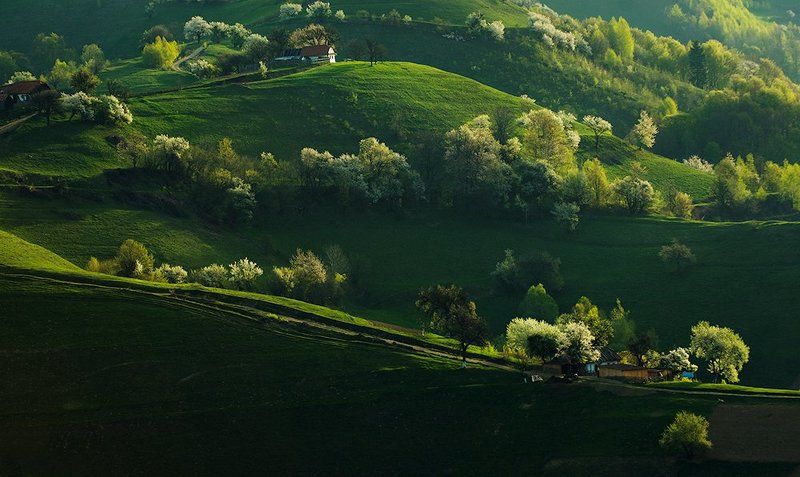 Morning wavesphoto preview