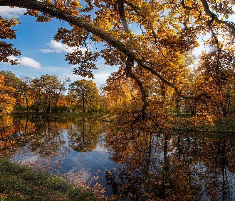 осень ***photo preview