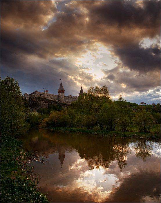 Автор: Полищук И.В. , Полищук И.В.