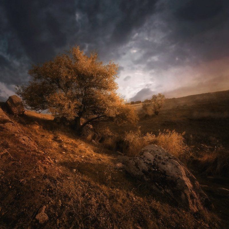 Степной овражек (ремикс)photo preview