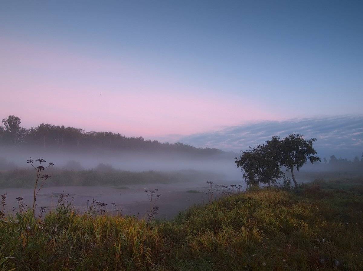 ***. Автор: Владимир Перепечаев , Владимир Перепечаев