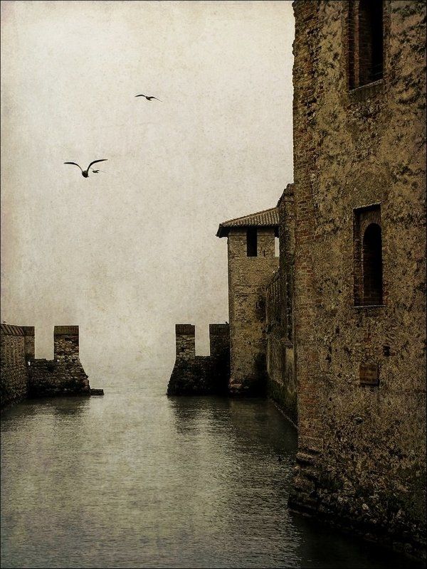 водные вратаphoto preview