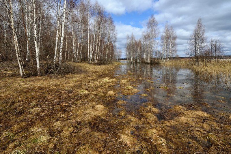 вашутинское, озеро ***photo preview