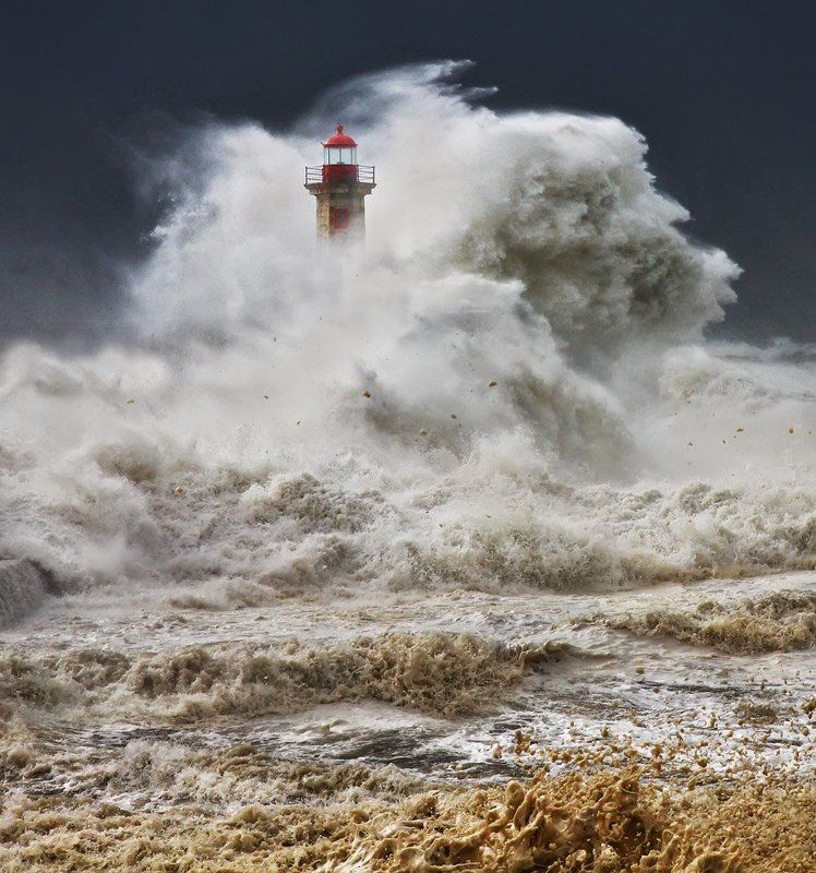 From Withinphoto preview