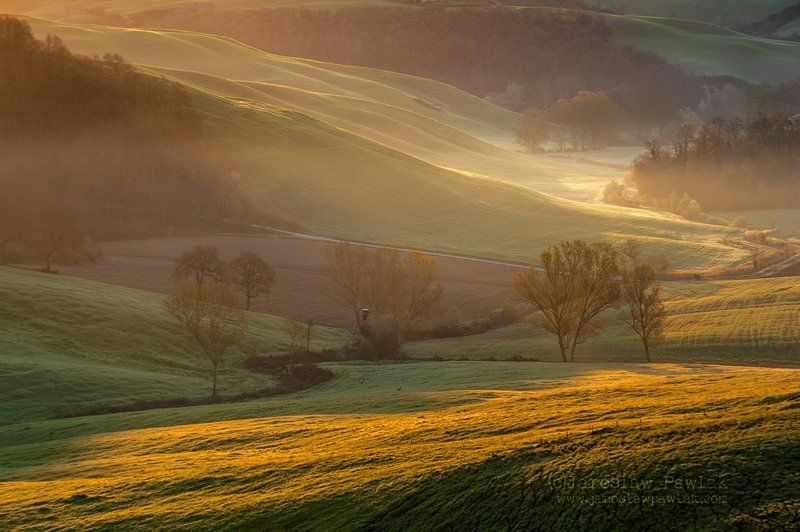 Fresh lightphoto preview