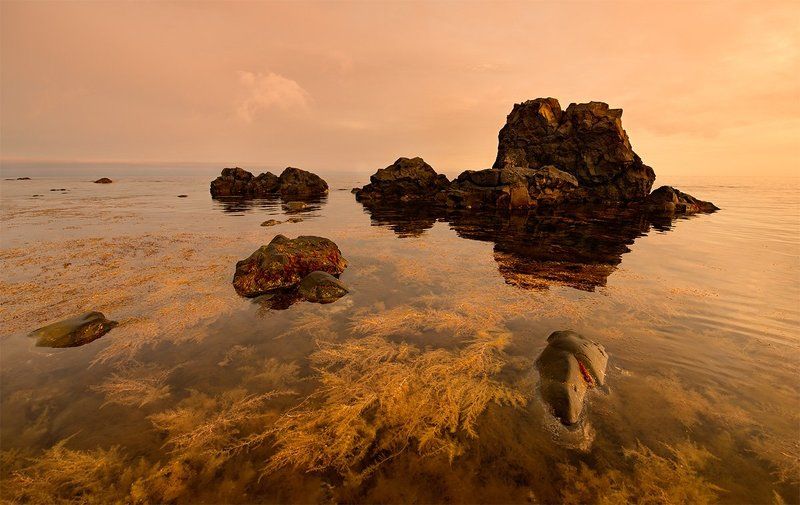 сахалин, sakhalin, зинаида макарова, zinaida makarova Янтарный берегphoto preview