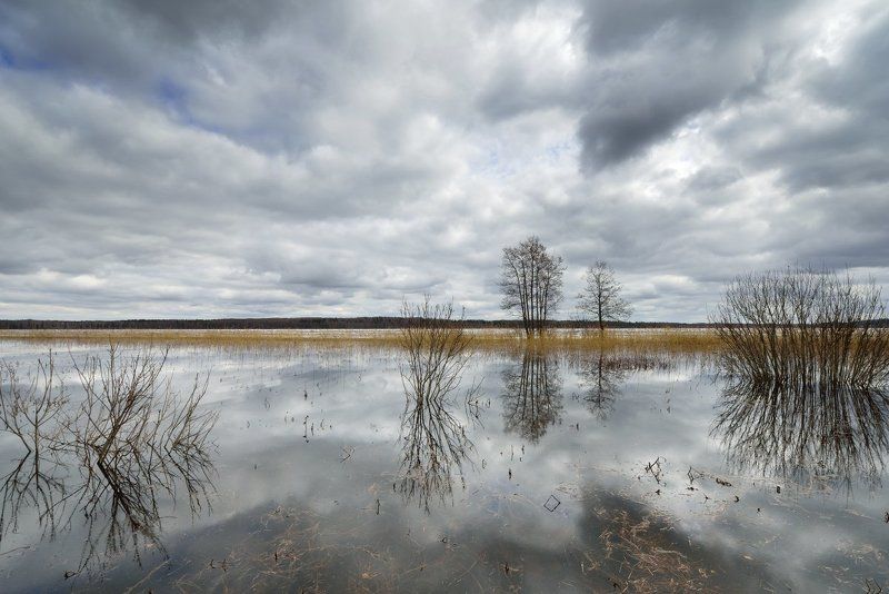 вашутинское, озеро ***photo preview